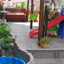 Morska Zvezda (Sea Star) 