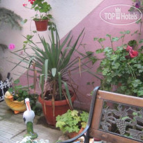 Orchidea Guest House
