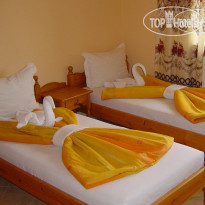 Viva Beach Hotel 
