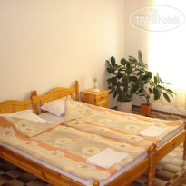 Guest House Kamovi