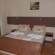 Family Hotel Detelini 