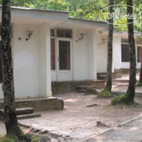 Виллы Кедр