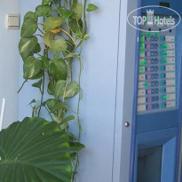 Ivanovi Guest House 
