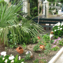 Vladimirov Guest House