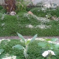 Guest House In Primorsko 