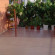 Ruja Guest House 