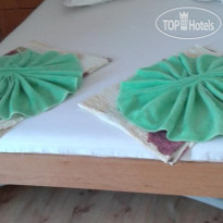 Zora Guest House
