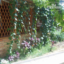 Dora Guest House