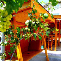 Velingrad Guest House 
