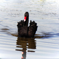 Park & Spa Hotel Markovo 