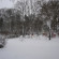 Central Park Kavarna 