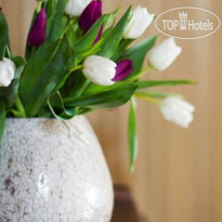 Aqua View Spa Boutique Hotel  