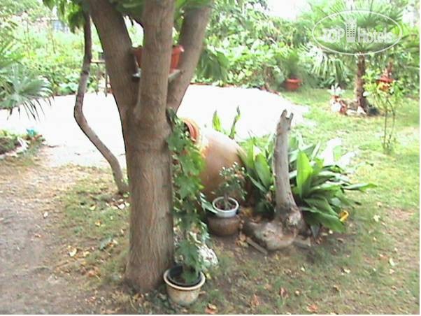 New photos from tourists Desi Guest House  2*