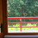 Victoria Guest House 