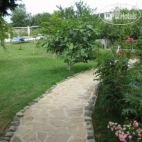 Villa Zelenika 
