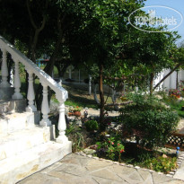 Villa Zelenika 
