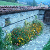 Edelweiss Guest House  