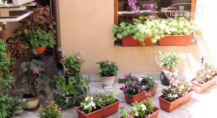 New photos from tourists Solo Hotel 3*