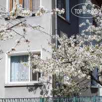 Minkovi Guest House