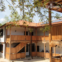 The Forest House