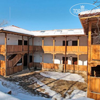 The Forest House