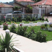 Blue Summer Guest House 