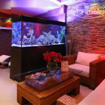 Balneohotel Markoni Pavel Banya 