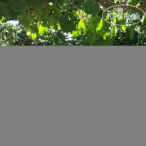 Bambook Bamboo Guest House 