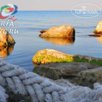 Троя Плаза