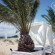 Apart Hotel Elit 2 Sunny Beach Bulgaria 