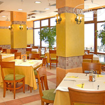 Кипарисите