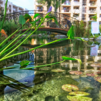Cascadas Family Resort