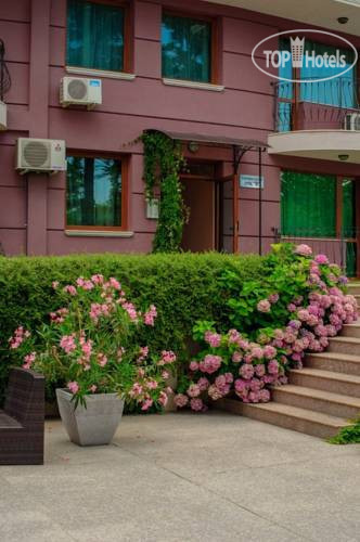 Purple Star Apartments