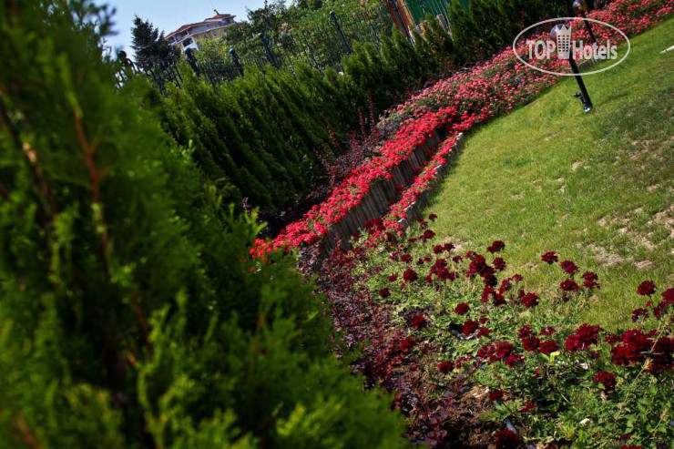 Hotel photo Апарт-отель Амарант 