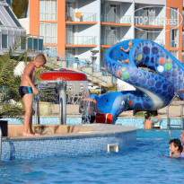 Dolphin Marina water slide in Rubin's swimmin