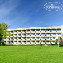 Lebed Lebed front side