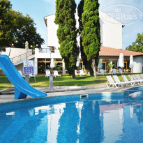 Dolphin dry slide in Dolphin's swimmin