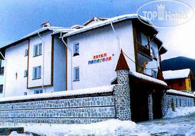 Photos Папагала