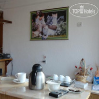 Grachenovi Guest House 