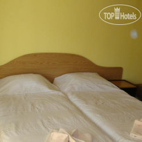 Planinski Zdravets Guest House 