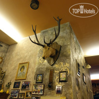 Spider House Apart Hotel