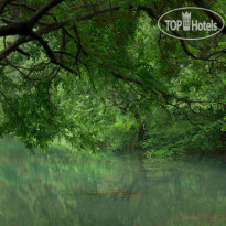 Al Baleed Resort Salalah By Anantara 