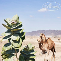 Fanar Hotel & Residences 