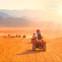 Arabian Oryx Camp