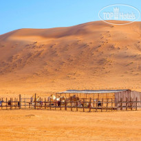 Arabian Oryx Camp