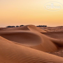 Arabian Oryx Camp