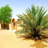 Arabian Oryx Camp