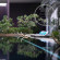 Radisson Collection Muscat, Hormuz Grand 