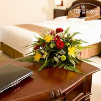 Muscat Holiday