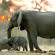 Savute Elephant Lodge A Belmond Safari Botswana